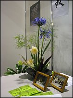 www.floristic.ru - Флористика. Стоит ли учиться флористике... А может - нет?