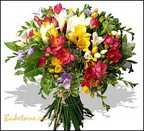 www.floristic.ru - . Freesia - 