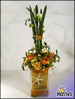 www.floristic.ru - . Freesia - 