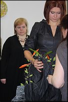 www.floristic.ru - .        17.04.10.  ""