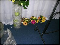 www.floristic.ru - .   .