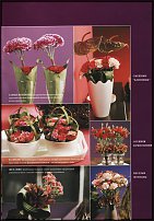 www.floristic.ru - . -