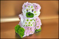 www.floristic.ru - .   