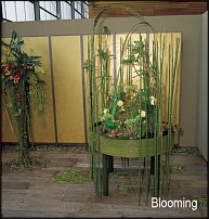 www.floristic.ru - . 11-       (2002 .)
