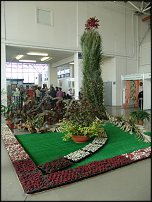 www.floristic.ru - . .  "   "  . 2010