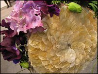 www.floristic.ru - . .  "   "  . 2010