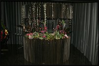 www.floristic.ru - .  .