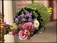 www.floristic.ru - . .  "   "  . 2010