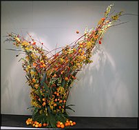 www.floristic.ru - .          () 2010