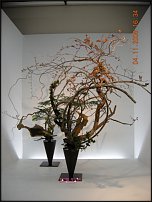 www.floristic.ru - .   