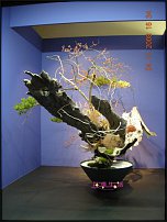     
: 20081109_9e32858a489a75e50362lF1eaYf1XnyO.jpg.thumb.jpg
: 517
:	155.0 
ID:	41039
