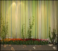 www.floristic.ru - .          () 2010