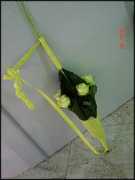 www.floristic.ru - . -