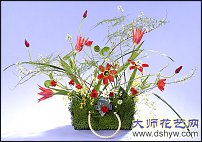 www.floristic.ru - .   