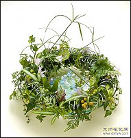 www.floristic.ru - .   