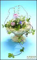 www.floristic.ru - .   