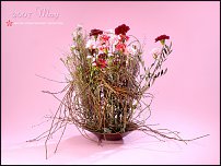 www.floristic.ru - .   