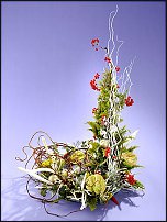 www.floristic.ru - .   