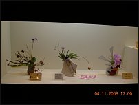 www.floristic.ru - .   