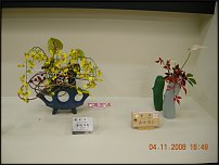 www.floristic.ru - .   