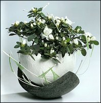 www.floristic.ru - .  