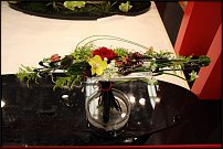 www.floristic.ru - . 13-     (,26-28  2010 .)