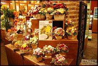 www.floristic.ru - .   