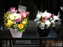 www.floristic.ru - .   