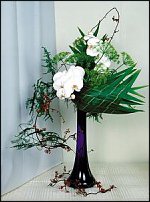 www.floristic.ru - .  . .    .