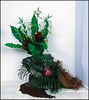 www.floristic.ru - .  . .    .