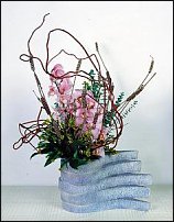 www.floristic.ru - .  . .    .