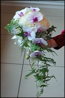 www.floristic.ru - . 