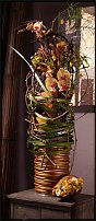 www.floristic.ru - .  .