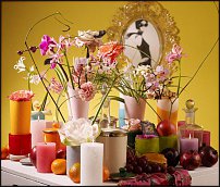 www.floristic.ru - .  .