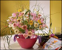 www.floristic.ru - .  .