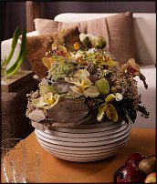 www.floristic.ru - .  .