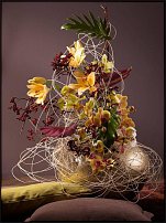 www.floristic.ru - .  .