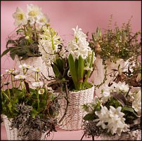 www.floristic.ru - .  .