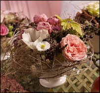 www.floristic.ru - .  .