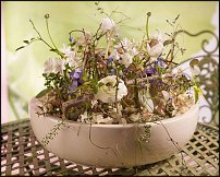 www.floristic.ru - .  .