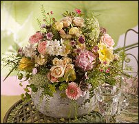 www.floristic.ru - .  .