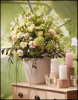 www.floristic.ru - .  .