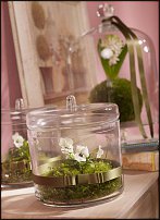 www.floristic.ru - .  .