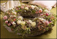 www.floristic.ru - .  .