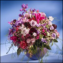 www.floristic.ru - .  .