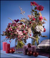 www.floristic.ru - .  .