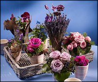 www.floristic.ru - .  .