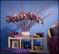 www.floristic.ru - .  .