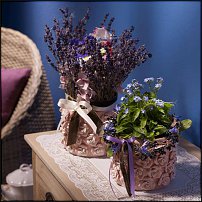 www.floristic.ru - .  .