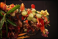 www.floristic.ru - . 13-     (,26-28  2010 .)